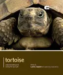 Landschildkröte - Tortoise