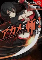 Akame Ga Kill!, Band 13 - Akame Ga Kill!, Vol. 13