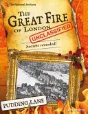 Nationale Archive: The Great Fire of London Unclassified - Geheimnisse werden gelüftet! (Hunter Nick (Berater für Kinder- und Schulbuchverlage)) - National Archives: The Great Fire of London Unclassified - Secrets Revealed! (Hunter Nick (Children's and Educational Publishing Consultant))