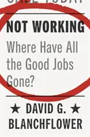 Nicht arbeiten: Wo sind all die guten Jobs hin? - Not Working: Where Have All the Good Jobs Gone?