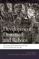 Ertrunkene und wiedergeborene Entwicklung: Die Blues- und Bourbon-Restaurationen in New Orleans nach Katrina - Development Drowned and Reborn: The Blues and Bourbon Restorations in Post-Katrina New Orleans