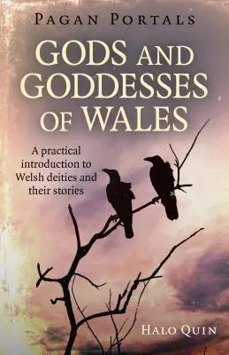 Heidnische Portale - Götter und Göttinnen von Wales: Eine praktische Einführung in walisische Gottheiten und ihre Geschichten - Pagan Portals - Gods and Goddesses of Wales: A Practical Introduction to Welsh Deities and Their Stories