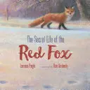 Das geheime Leben des Rotfuchses - The Secret Life of the Red Fox