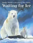 Warten auf Eis - Waiting for Ice