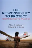 Die Verantwortung für den Schutz: Von der Verheißung zur Praxis - The Responsibility to Protect: From Promise to Practice