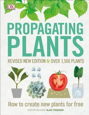Vermehrung von Pflanzen: Wie man kostenlos neue Pflanzen züchtet - Propagating Plants: How to Create New Plants for Free
