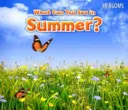 Was kann man im Sommer sehen? - What Can You See In Summer?