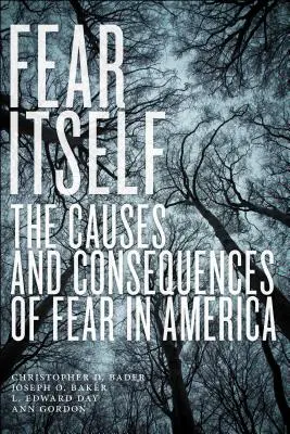 Die Furcht selbst: Die Ursachen und Folgen der Angst in Amerika - Fear Itself: The Causes and Consequences of Fear in America