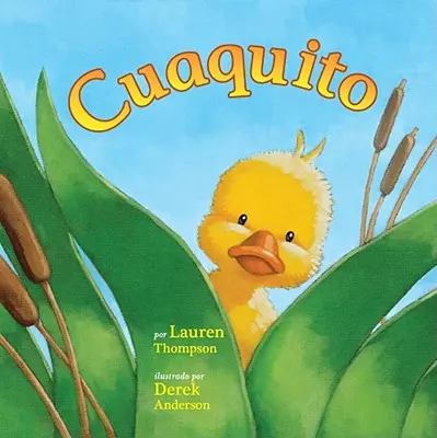 Cuaquito (Kleiner Quacksalber) - Cuaquito (Little Quack)