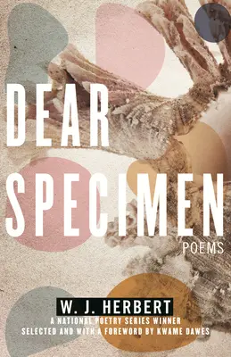 Liebes Exemplar: Gedichte - Dear Specimen: Poems