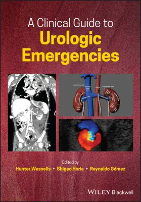 Ein klinischer Leitfaden für urologische Notfälle - A Clinical Guide to Urologic Emergencies