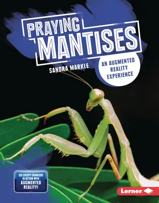 Gottesanbeterinnen: Ein Augmented-Reality-Erlebnis - Praying Mantises: An Augmented Reality Experience