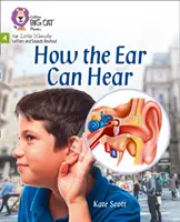 Wie das Ohr hören kann - Phase 4 - How the Ear Can Hear - Phase 4