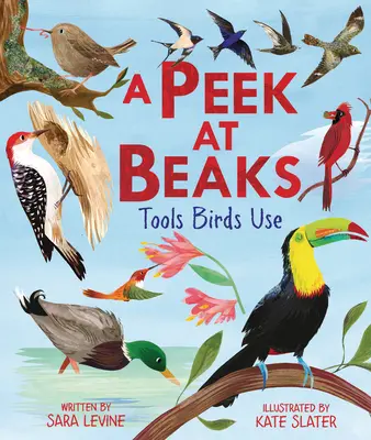 Ein Blick auf die Schnäbel: Die Werkzeuge der Vögel - A Peek at Beaks: Tools Birds Use