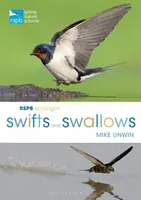 RSPB Spotlight Mauersegler und Schwalben - RSPB Spotlight Swifts and Swallows