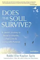 Kann die Seele überleben? (2. Auflage): Eine jüdische Reise zum Glauben an ein Leben nach dem Tod, frühere Leben und ein Leben mit Sinn - Does the Soul Survive? (2nd Edition): A Jewish Journey to Belief in Afterlife, Past Lives & Living with Purpose