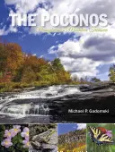 Die Poconos: Pennsylvanias Bergschatz - The Poconos: Pennsylvania's Mountain Treasure