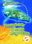 Die Wanderung der Buckelwale - Humpback Whale Migration