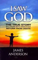 Ich habe Gott gesehen: Die wahre Geschichte der wundersamen Rückkehr eines kleinen Jungen aus dem Tod - I Saw God: The True Story of a Young Boy's Miraculous Return from Death