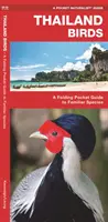 Thailand Vögel: Faltbarer Taschenführer für vertraute Arten - Thailand Birds: A Folding Pocket Guide to Familiar Species