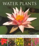 Wasserpflanzen - Ein illustrierter Leitfaden zu Sorten, Kultivierung und Pflege, mit Schritt-für-Schritt-Anleitungen und über 110 wunderschönen Fotografien - Water Plants - An Illustrated Guide to Varieties, Cultivation and Care, with Step-by-step Instructions and Over 110 Beautiful Photographs