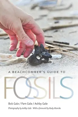 Fossilienführer für Strandurlauber - A Beachcomber's Guide to Fossils