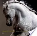 Das arabische Pferd von Ägypten - The Arabian Horse of Egypt