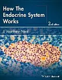 Wie das endokrine System funktioniert - How the Endocrine System Works