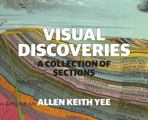 Visuelle Entdeckungen: Eine Sammlung von Abschnitten - Visual Discoveries: A Collection of Sections