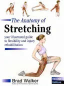 Anatomie des Dehnens - Ihr illustrierter Leitfaden für Beweglichkeit und Rehabilitation bei Verletzungen - Anatomy of Stretching - Your Illustrated Guide to Flexibility and Injury Rehabilitation