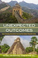 Unerwartete Ergebnisse: Wie aufstrebende Volkswirtschaften die globale Finanzkrise überlebten - Unexpected Outcomes: How Emerging Economies Survived the Global Financial Crisis