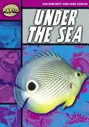 Schnelles Lesen: Unter dem Meer (Stufe 3, Stufe 3A) - Rapid Reading: Under the Sea (Stage 3, Level 3A)