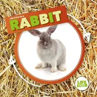 Kaninchen - Rabbit