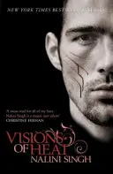 Visionen der Hitze - Buch 2 - Visions of Heat - Book 2