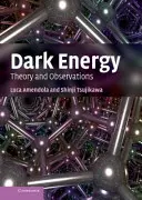 Dunkle Energie: Theorie und Beobachtungen - Dark Energy: Theory and Observations