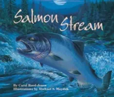 Der Lachsstrom - Salmon Stream