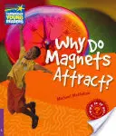 Warum ziehen sich Magnete an? Sachbuch Stufe 4 - Why Do Magnets Attract? Level 4 Factbook