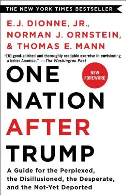 Eine Nation nach Trump: Ein Leitfaden für die Ratlosen, die Desillusionierten, die Verzweifelten und die noch nicht Abgeschobenen - One Nation After Trump: A Guide for the Perplexed, the Disillusioned, the Desperate, and the Not-Yet Deported