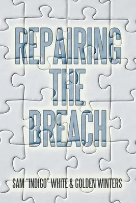 Das Reparieren des Bruchs - Repairing the Breach