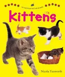 Say and Point Picture Boards: Kätzchen - Say and Point Picture Boards: Kittens