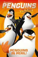 Die Pinguine von Madagaskar - Pinguine in Gefahr - Penguins of Madagascar - Penguins in Peril