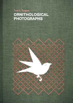 Ornithologische Fotografien - Ornithological Photographs