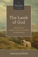 Das Lamm Gottes (ein 10-wöchiges Bibelstudium), 2: Jesus in Exodus, Levitikus, Numeri und Deuteronomium sehen - The Lamb of God (a 10-Week Bible Study), 2: Seeing Jesus in Exodus, Leviticus, Numbers, and Deuteronomy