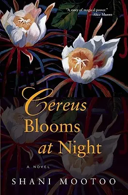 Cereus blüht in der Nacht - Cereus Blooms at Night