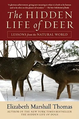 Das verborgene Leben der Hirsche: Lektionen aus der natürlichen Welt - The Hidden Life of Deer: Lessons from the Natural World