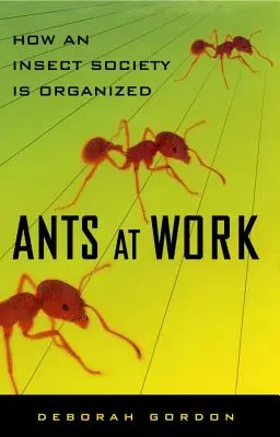 Ameisen bei der Arbeit: Wie eine Insektengesellschaft organisiert ist - Ants at Work: How an Insect Society Is Organized