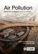 Luftverschmutzung: Quellen, Auswirkungen und Kontrollmechanismen - Air Pollution: Sources, Impacts and Controls