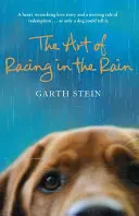 Die Kunst, im Regen zu fahren - Art of Racing in the Rain