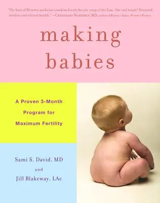 Babies machen: Ein bewährtes 3-Monats-Programm für maximale Fruchtbarkeit - Making Babies: A Proven 3-Month Program for Maximum Fertility