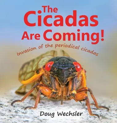 Die Zikaden sind im Anmarsch! Die Invasion der periodischen Zikaden - The Cicadas Are Coming!: Invasion of the Periodical Cicadas